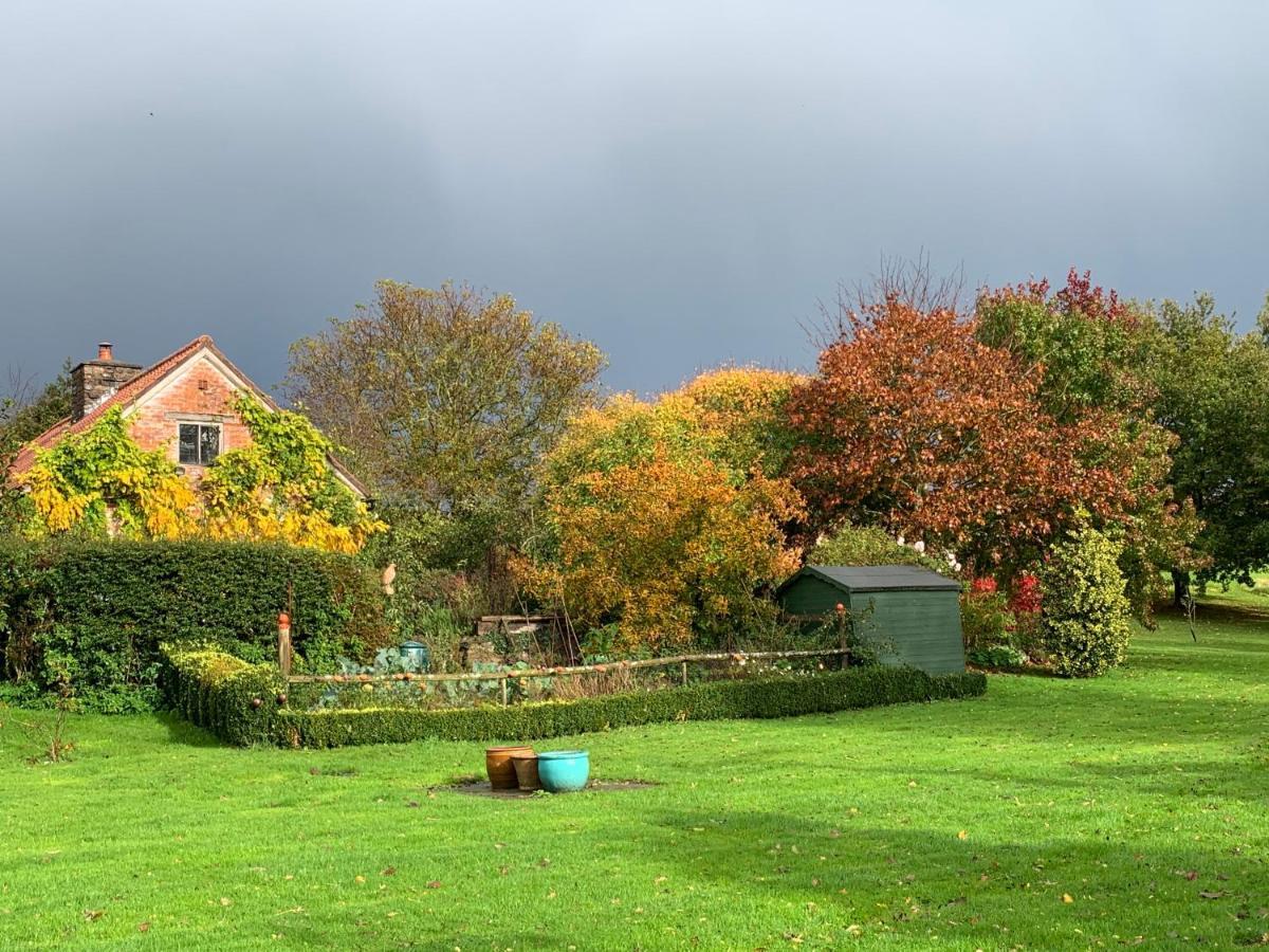 Medieval Cottage In Rural Monmouthshire. Raglan Extérieur photo